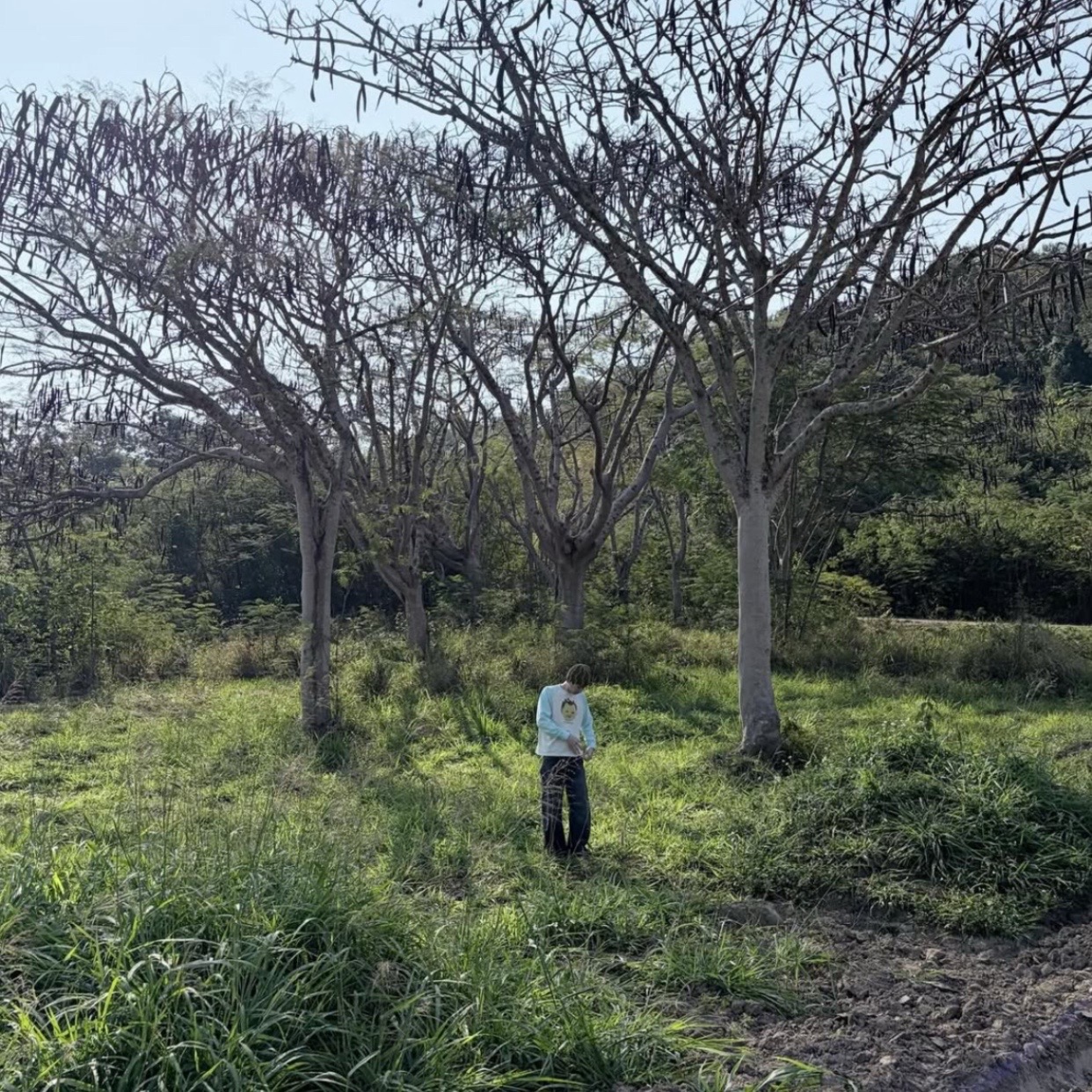 @𝘖𝘧𝘧 𝘑𝘶𝘮𝘱𝘰𝘭 𝘈𝘥𝘶 🦆