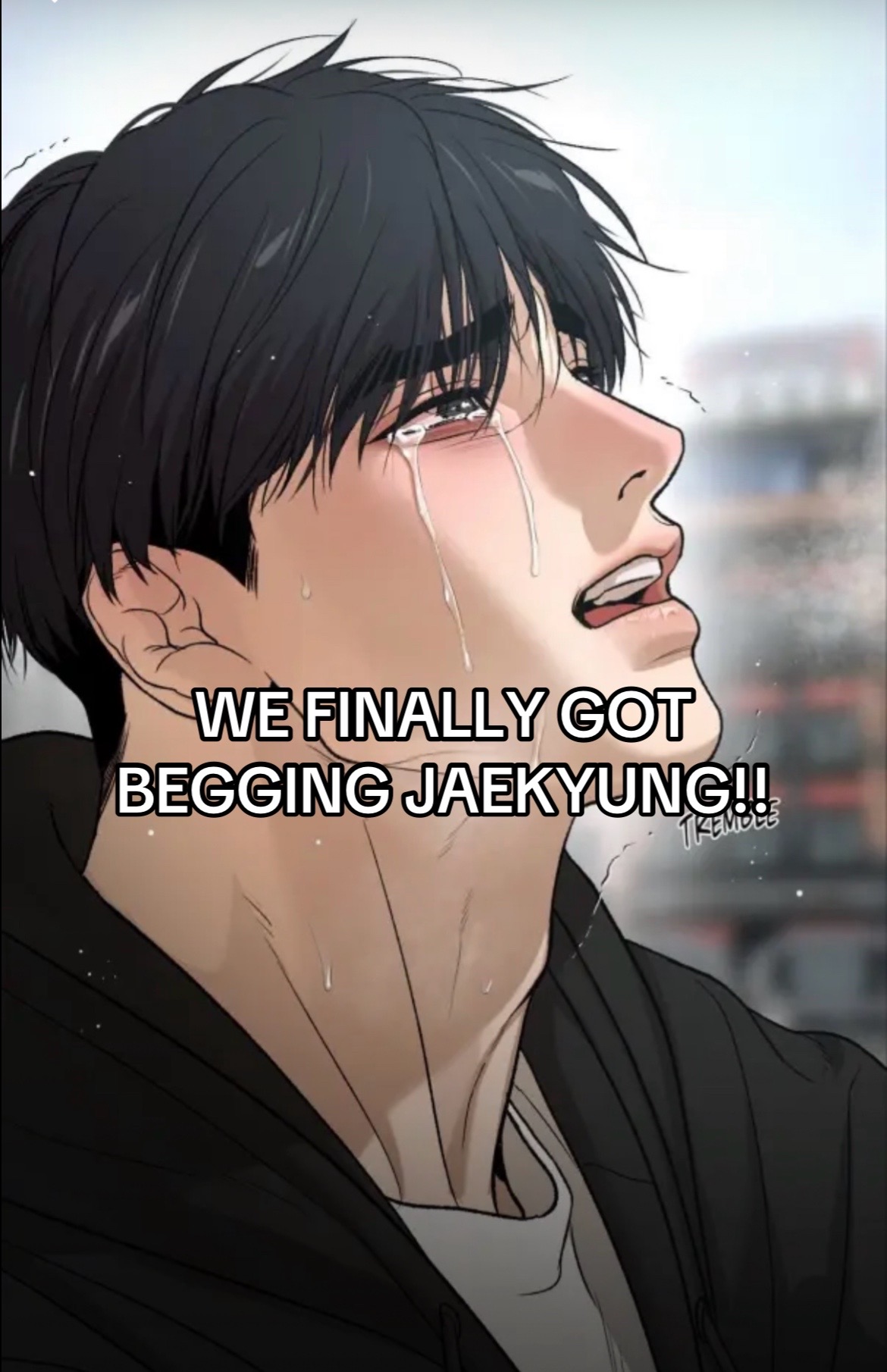 @MrsQuokka ๐ต๐ฑ๐บ๐ธ