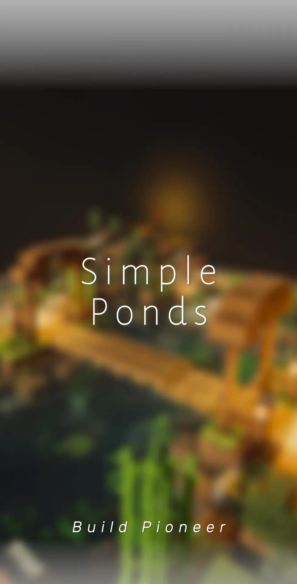 @BuildPioneer
