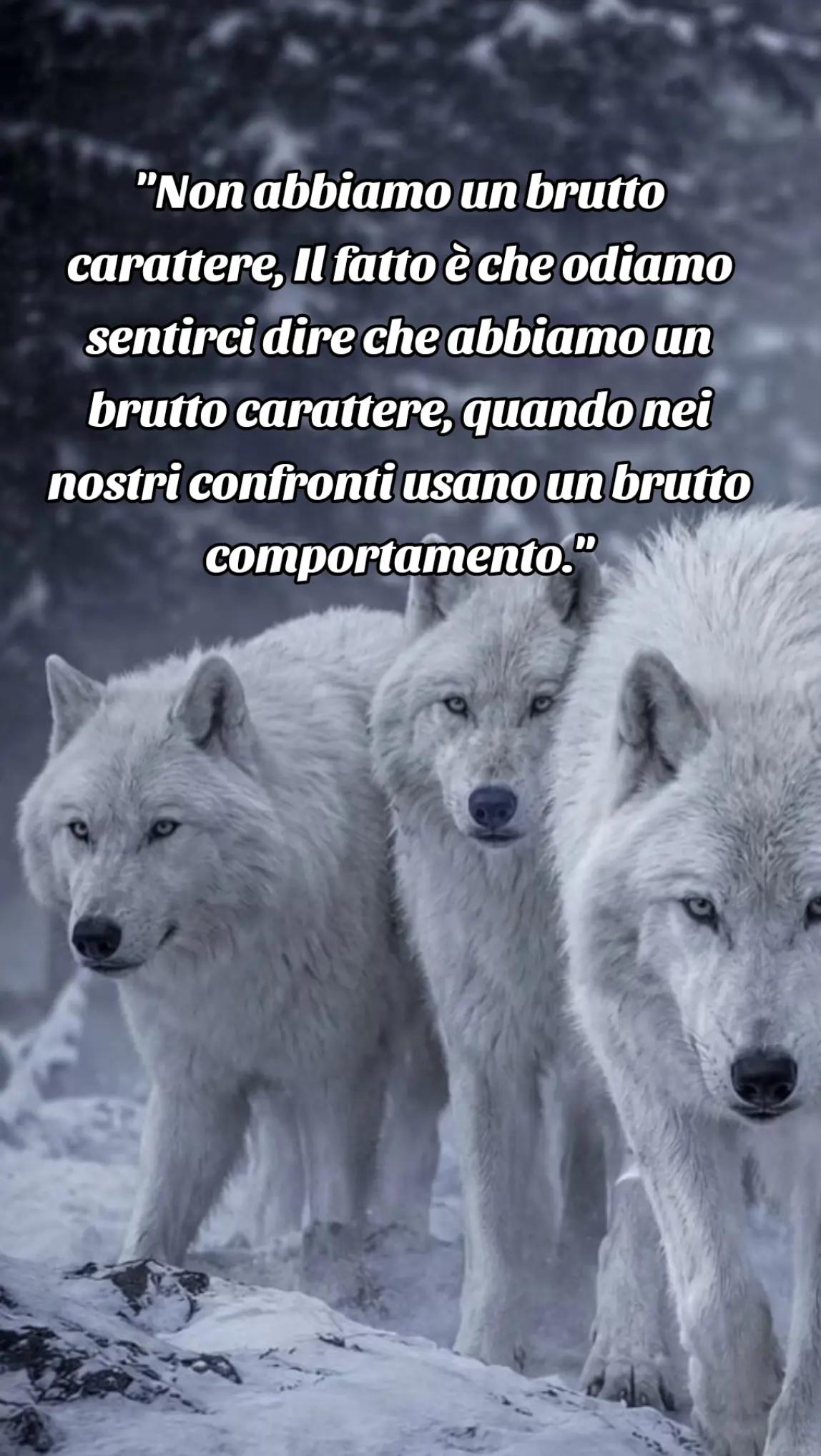 @๐บ๐ฝCrazy Wolf.