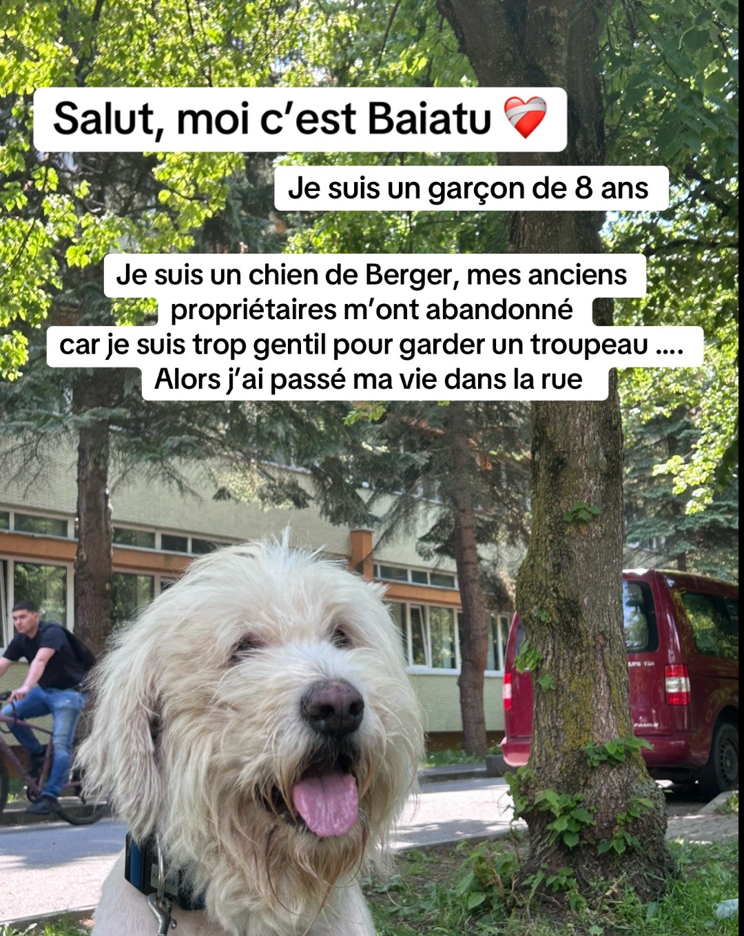 @Adopte Une Truffe 🐶