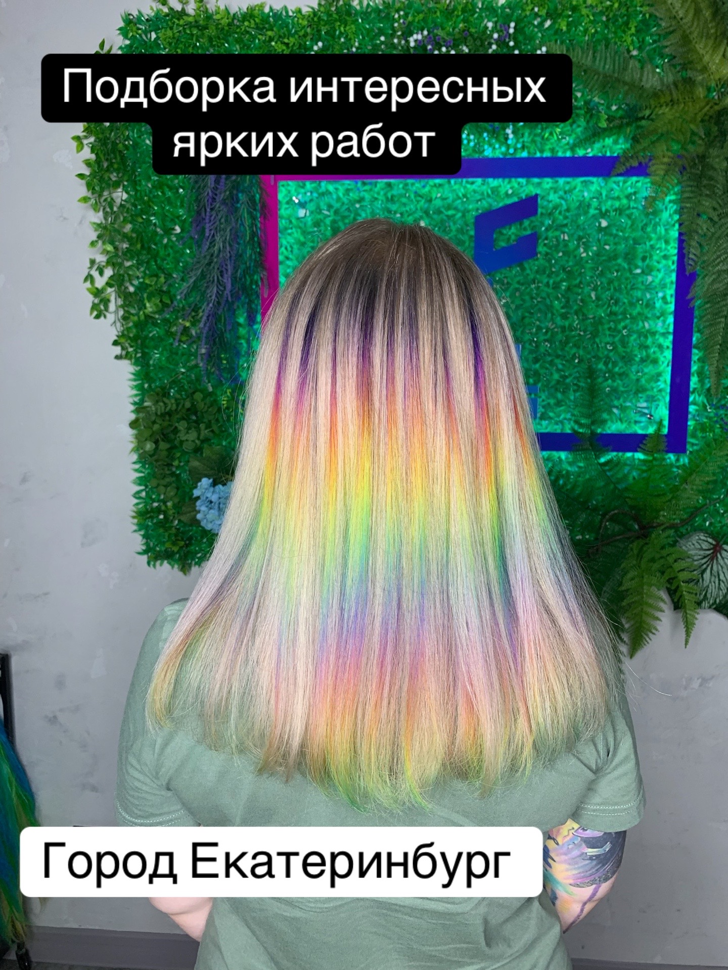@pedigree___
