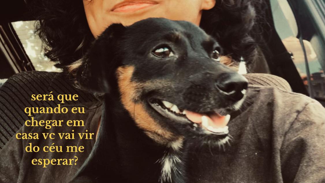 @barrsani