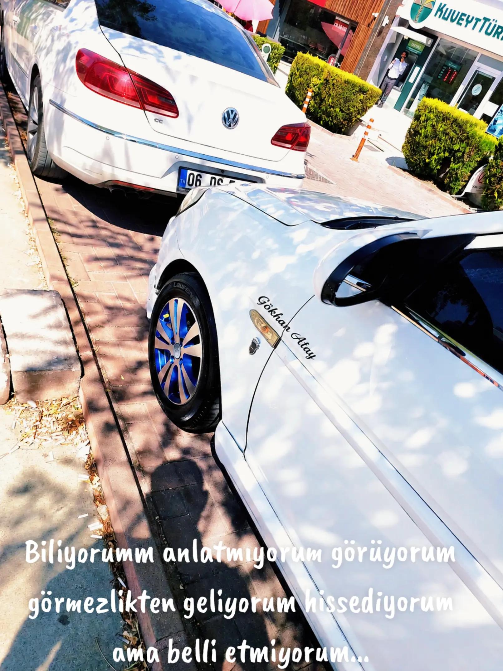 @G&ouml;khan Atay 0653