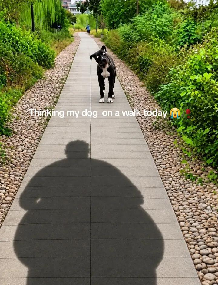 @King