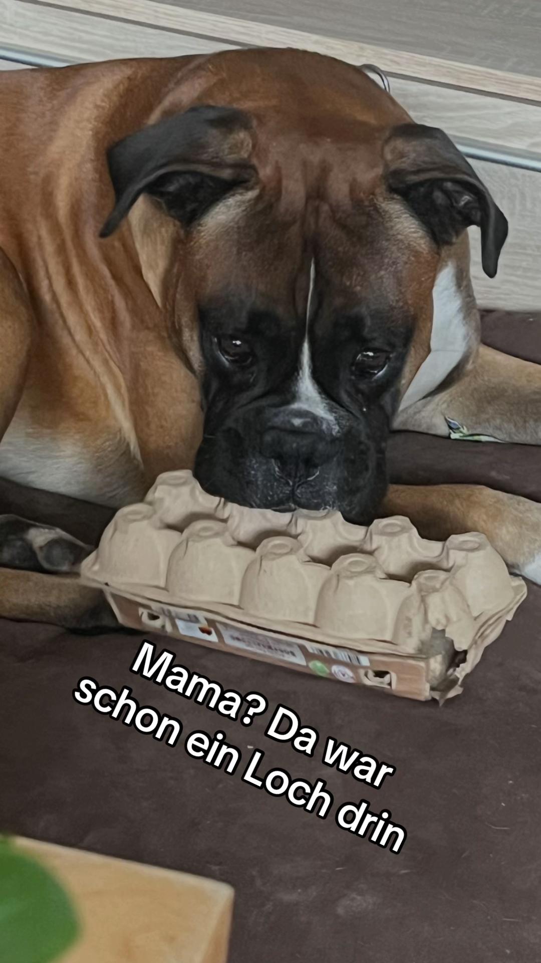 @ostfriesenfrau