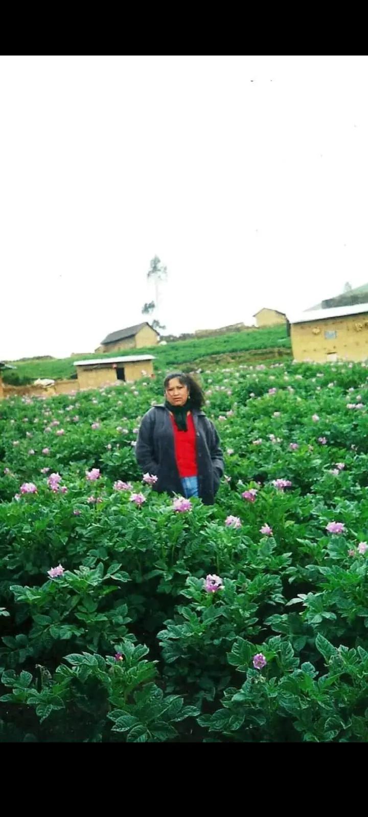 @Florcita Victoria Pillahuina