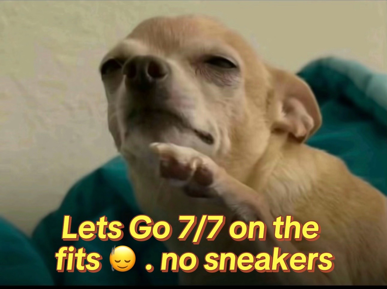 @sonzay_