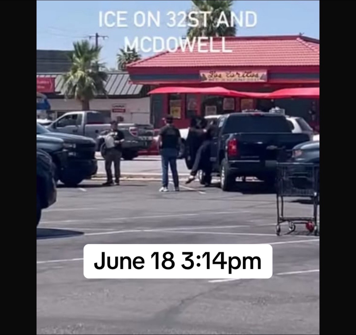 @Feed Phoenix