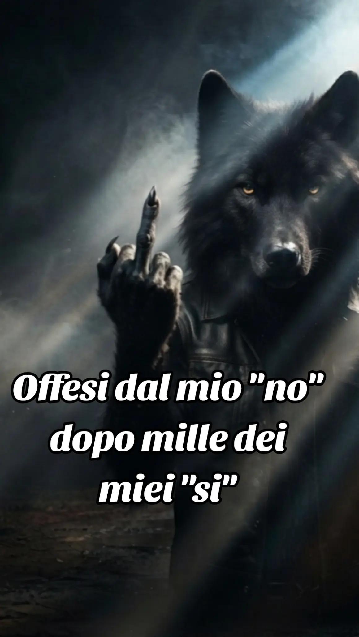 @🐺🗽Crazy Wolf.