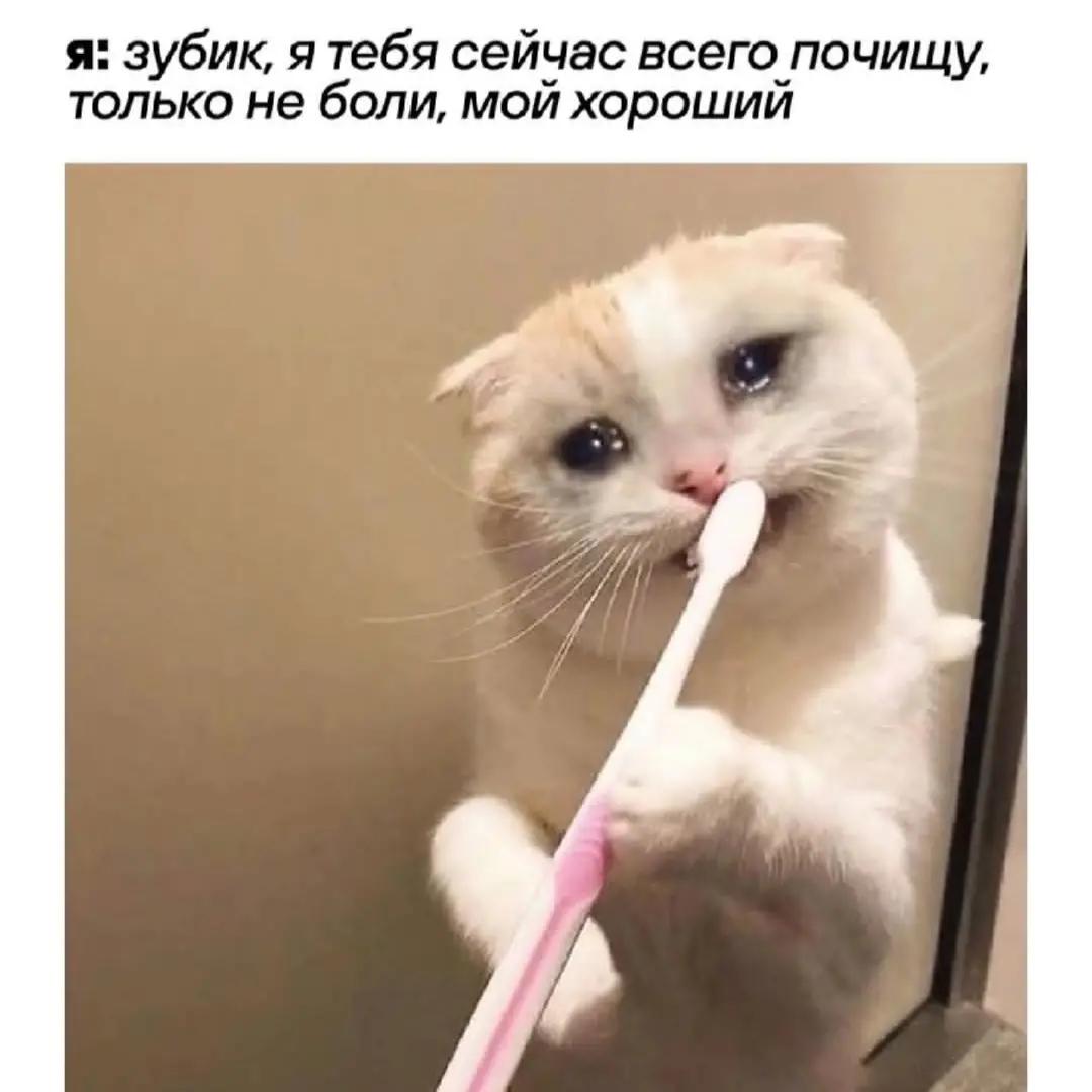 @любительница Audi ❤️