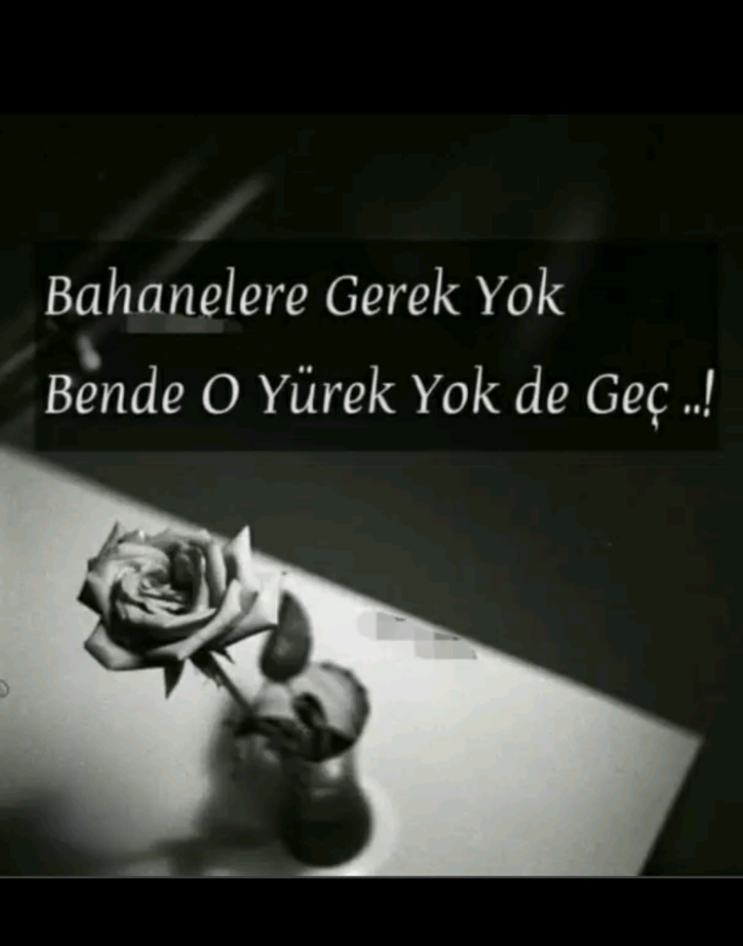 @Gül 34_28_🦁♥️💛♥️🦁