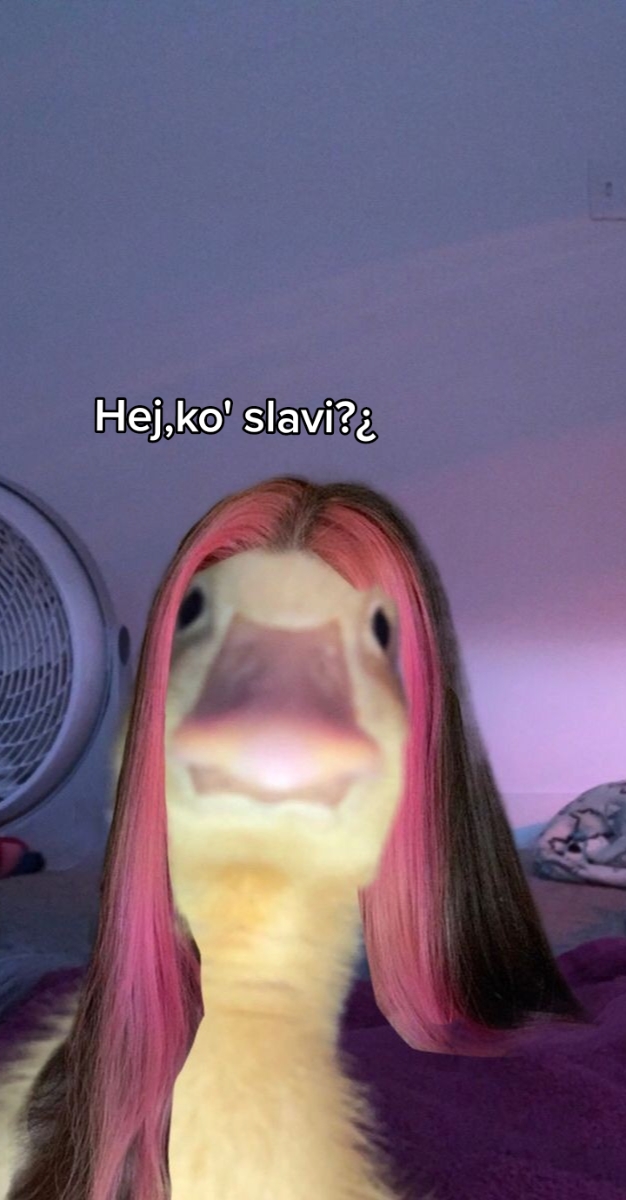 @- lilly🤍🐢