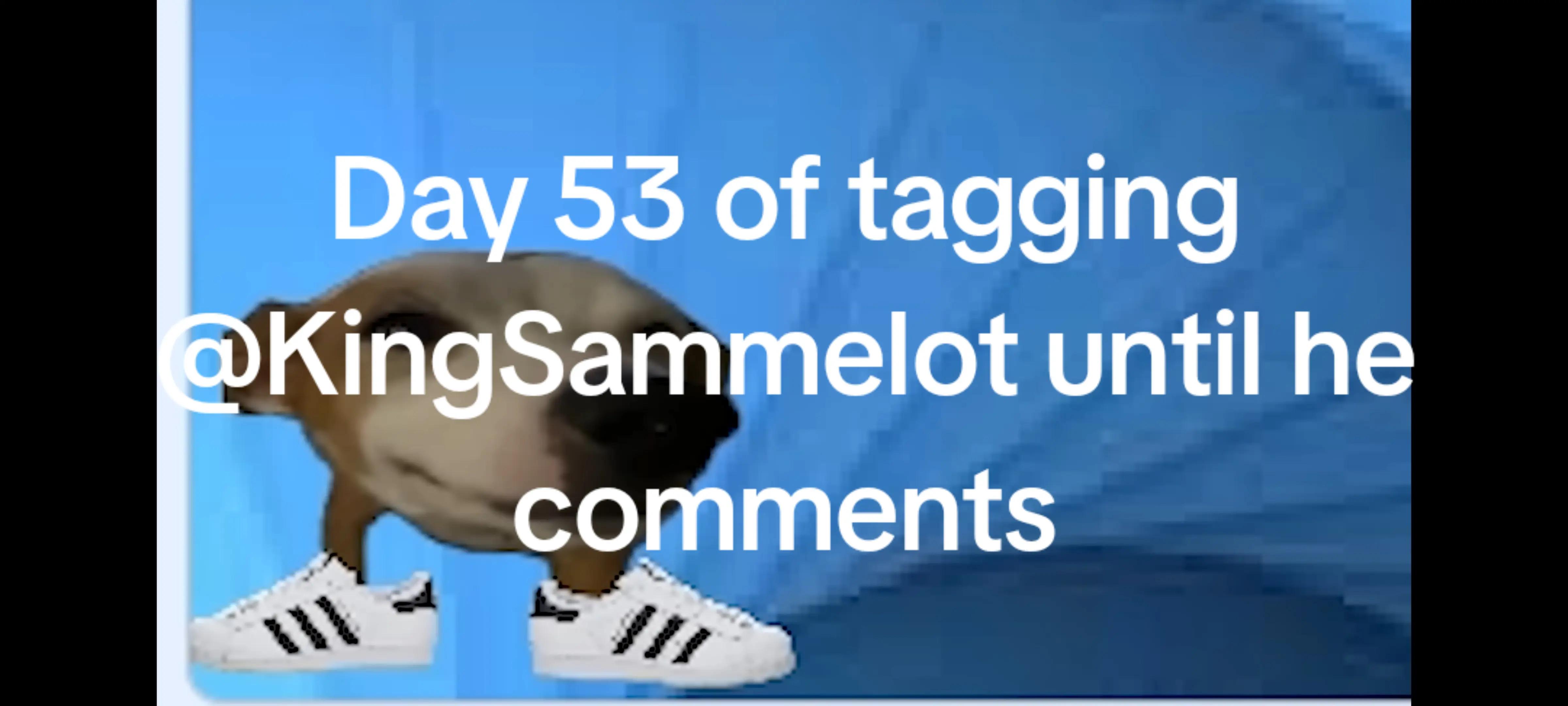 @basltpmc :)
