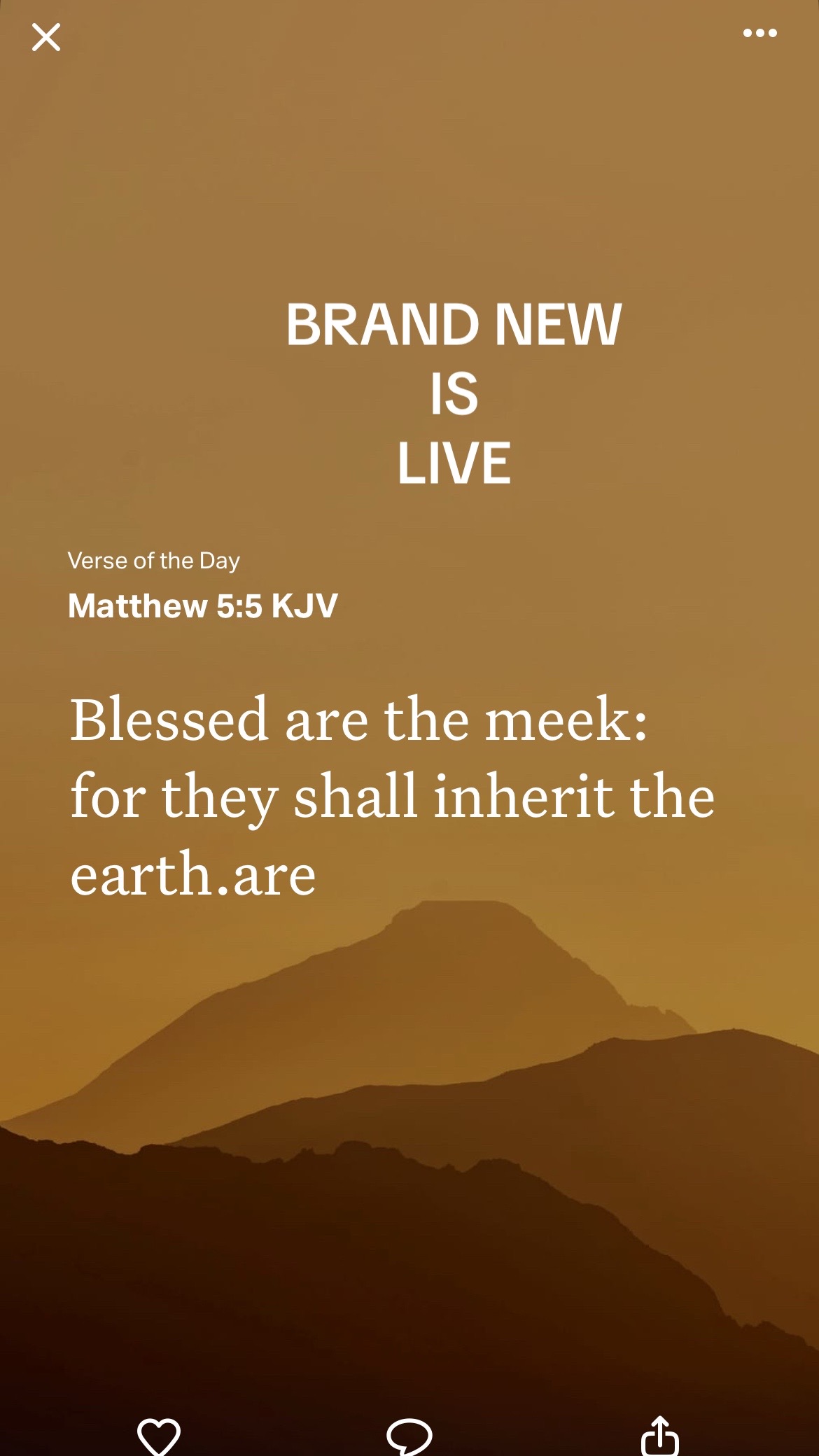 @brandnewme
