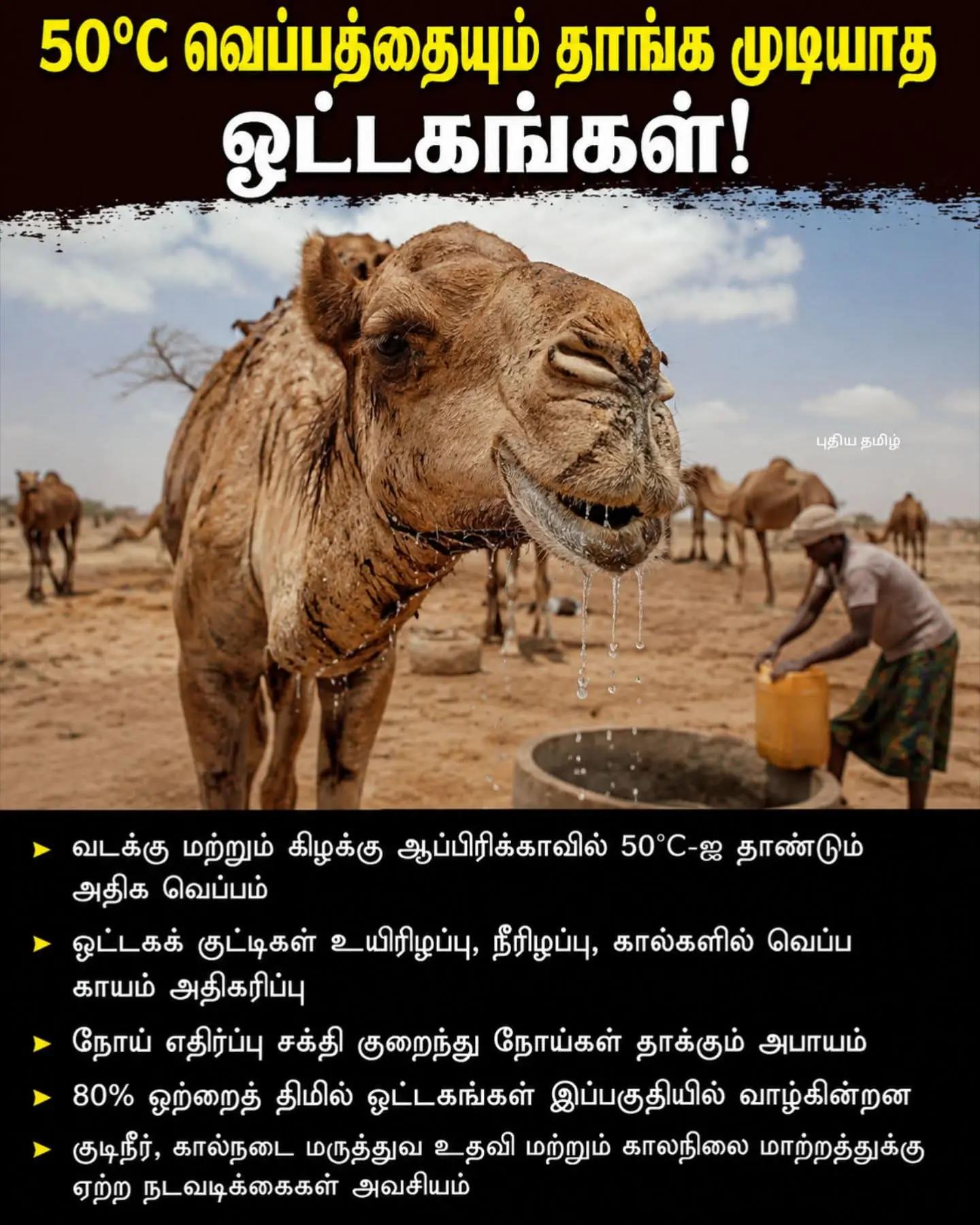 @Shamini