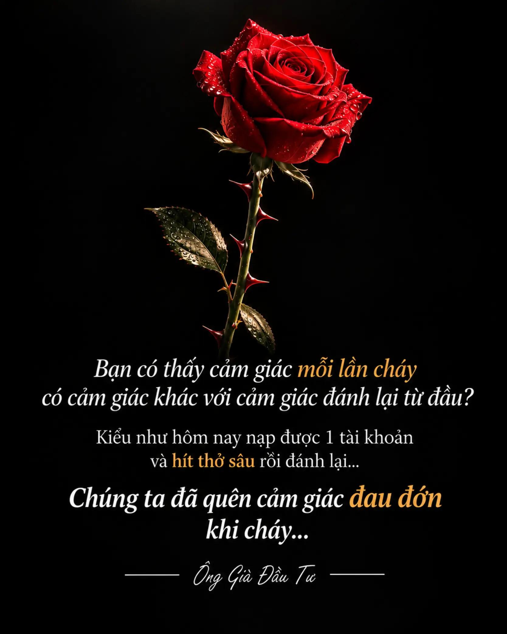 @ông già đầu tư 👴 bán sách