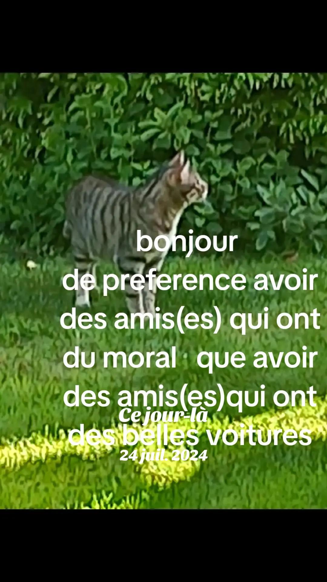 @amarjff