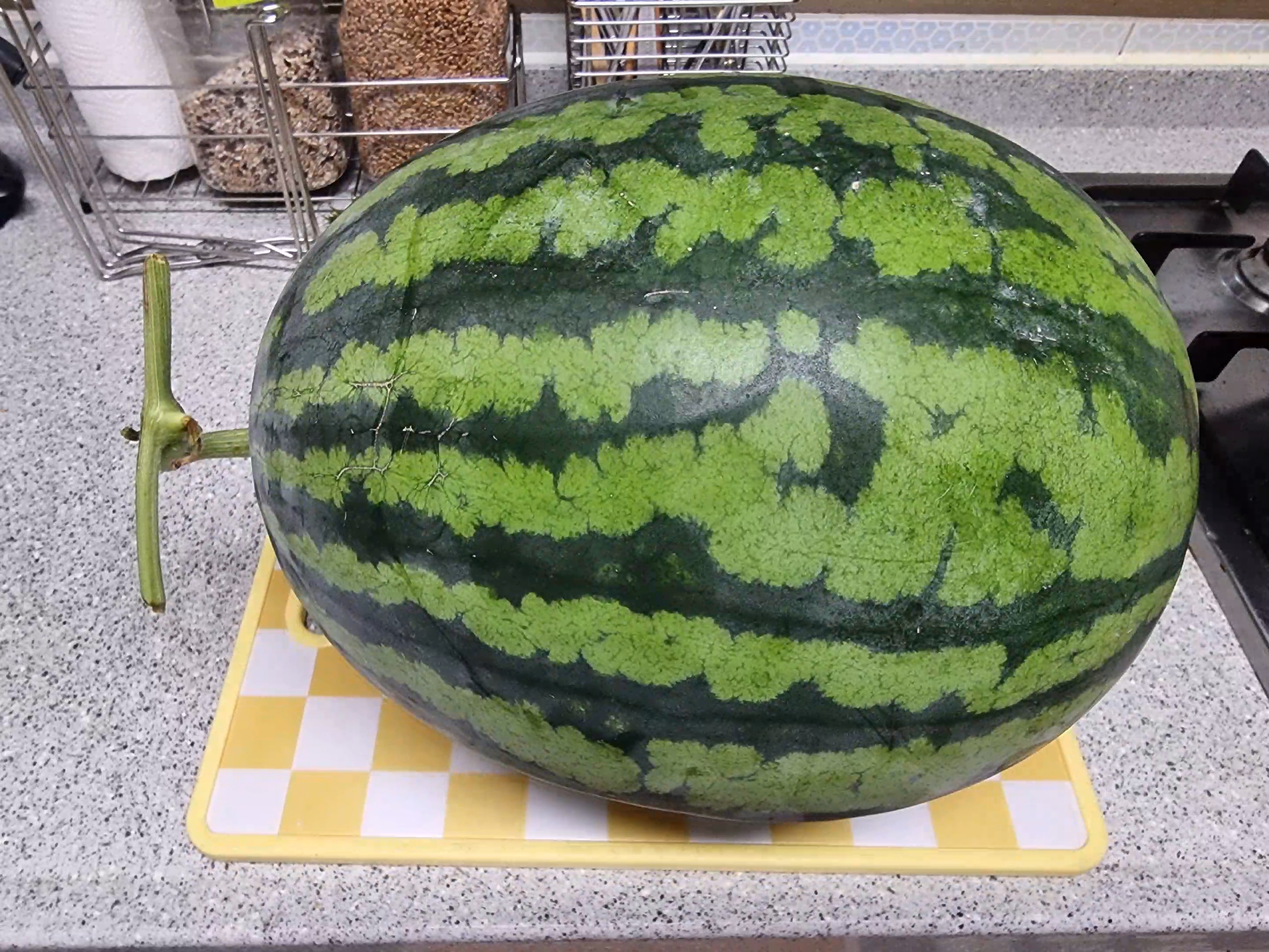 @블랙야크