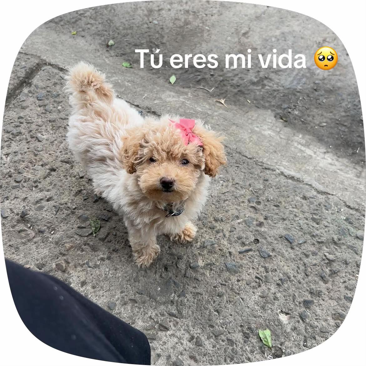 @28_tdm_