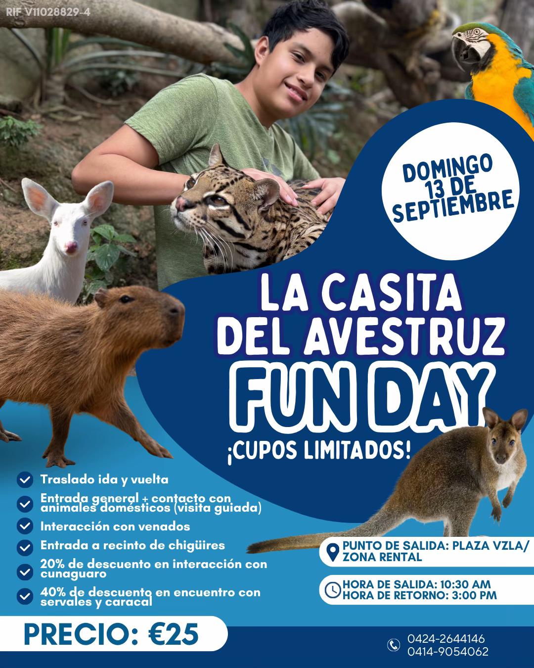 @La Casita del Avestruz