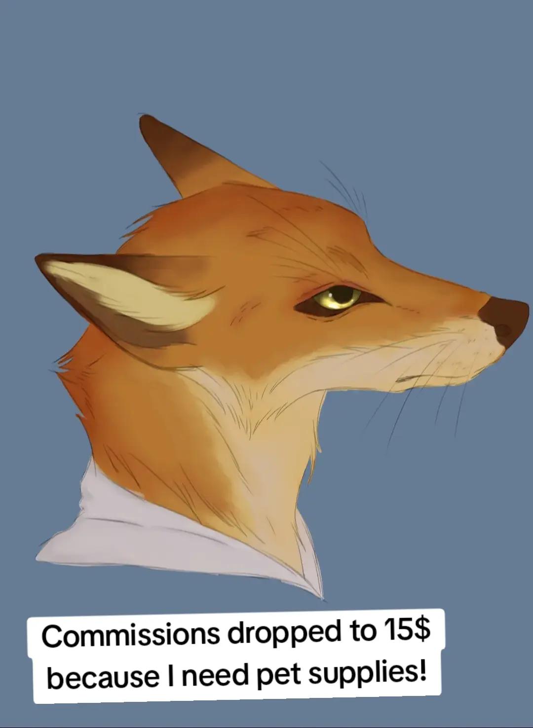 @˗ˏˋ 𝔄𝔨𝔦𝔯𝔞 ˎˊ˗ / Coms open