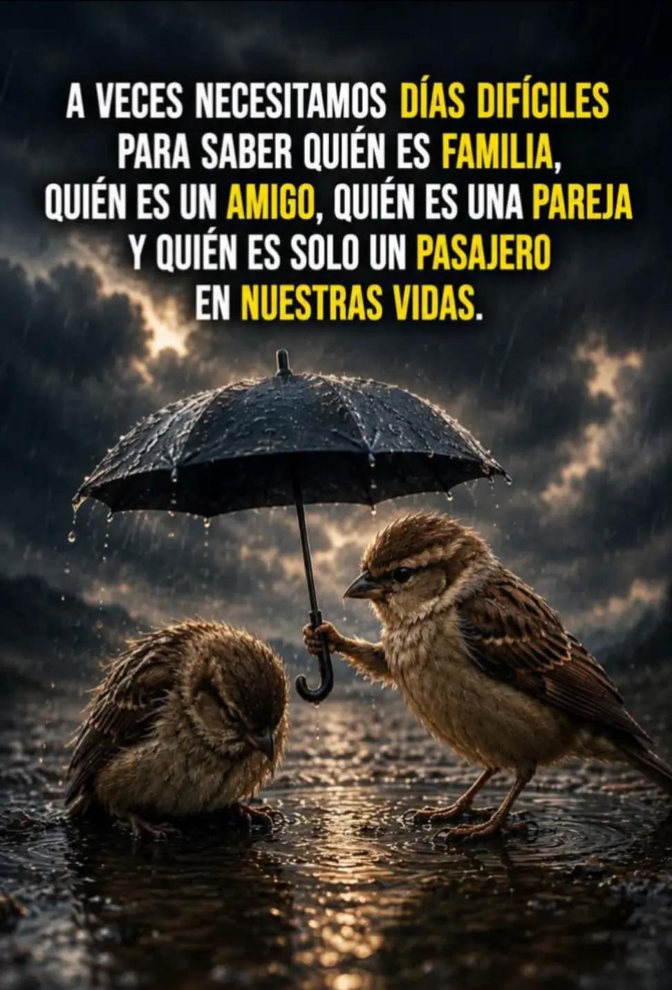 @yeison Ramirez 🇨🇴