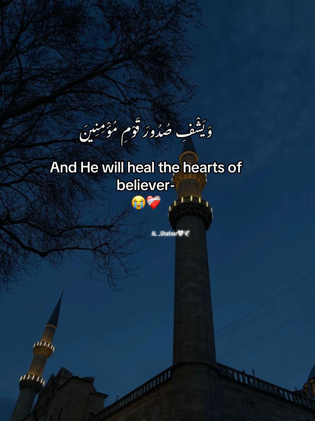 @AL _Ghafoor🤍🕊️