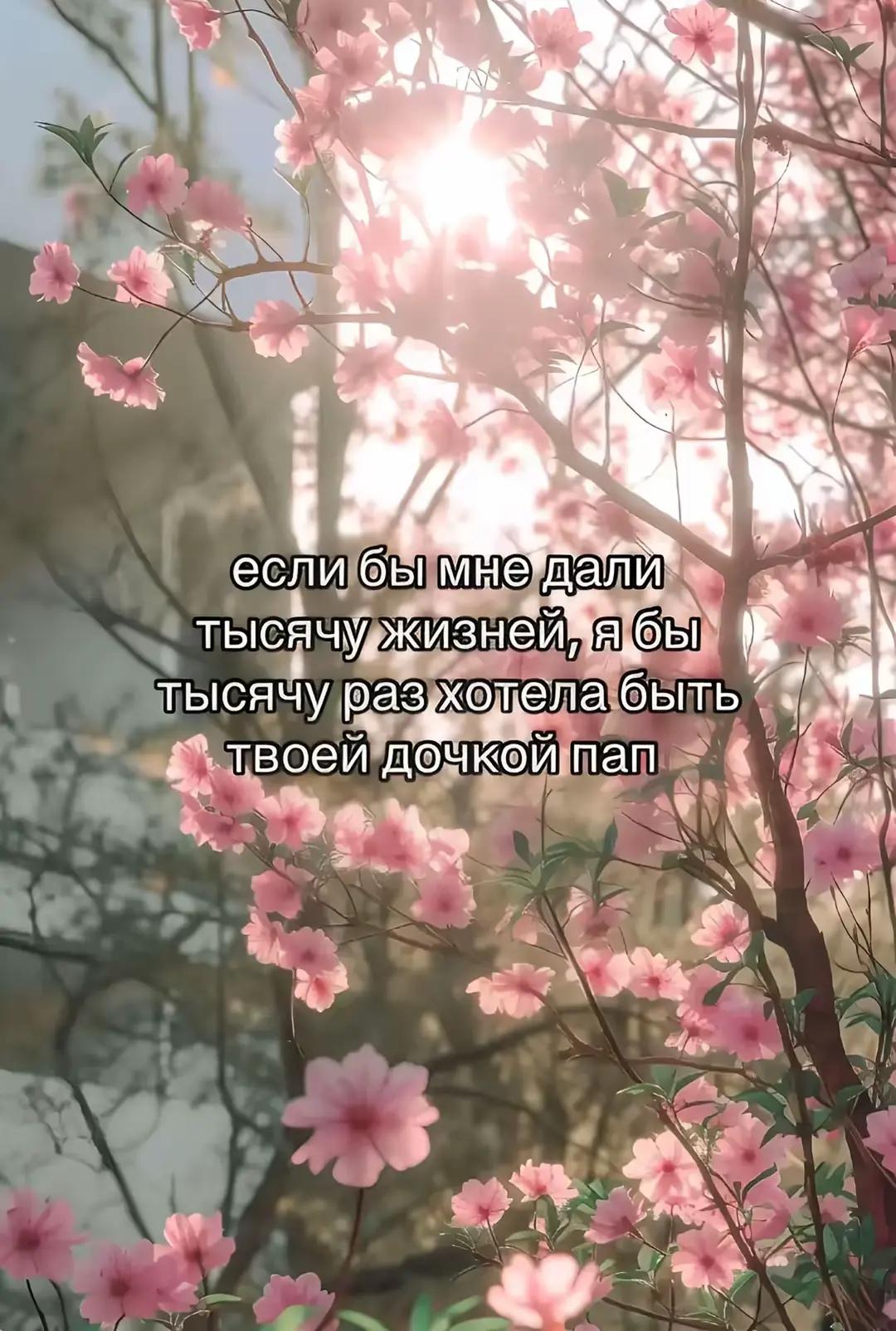 @лиzikx00