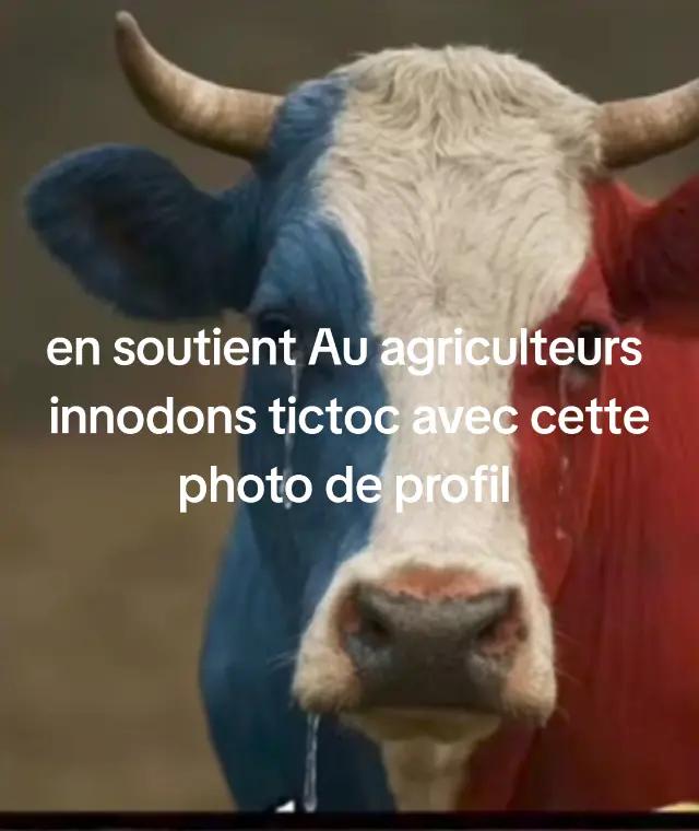 @Antoine frau