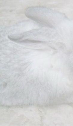 @☘️♪‧₊˚𓏲ּ𝄢🦄