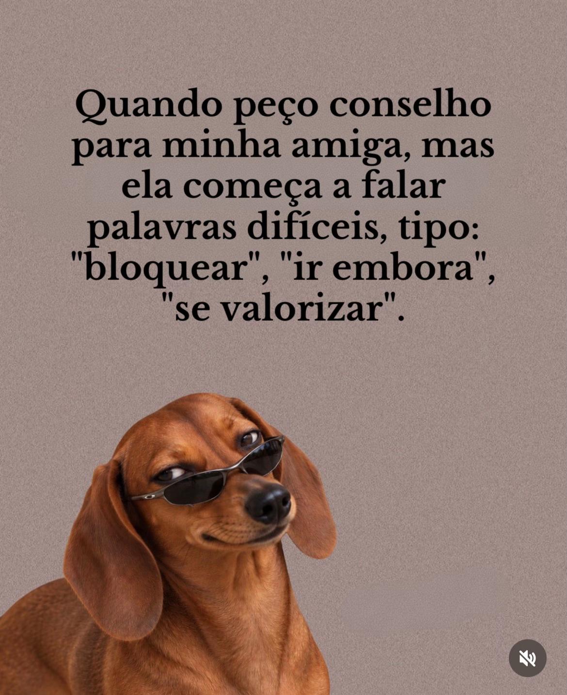 @Paula Vitti
