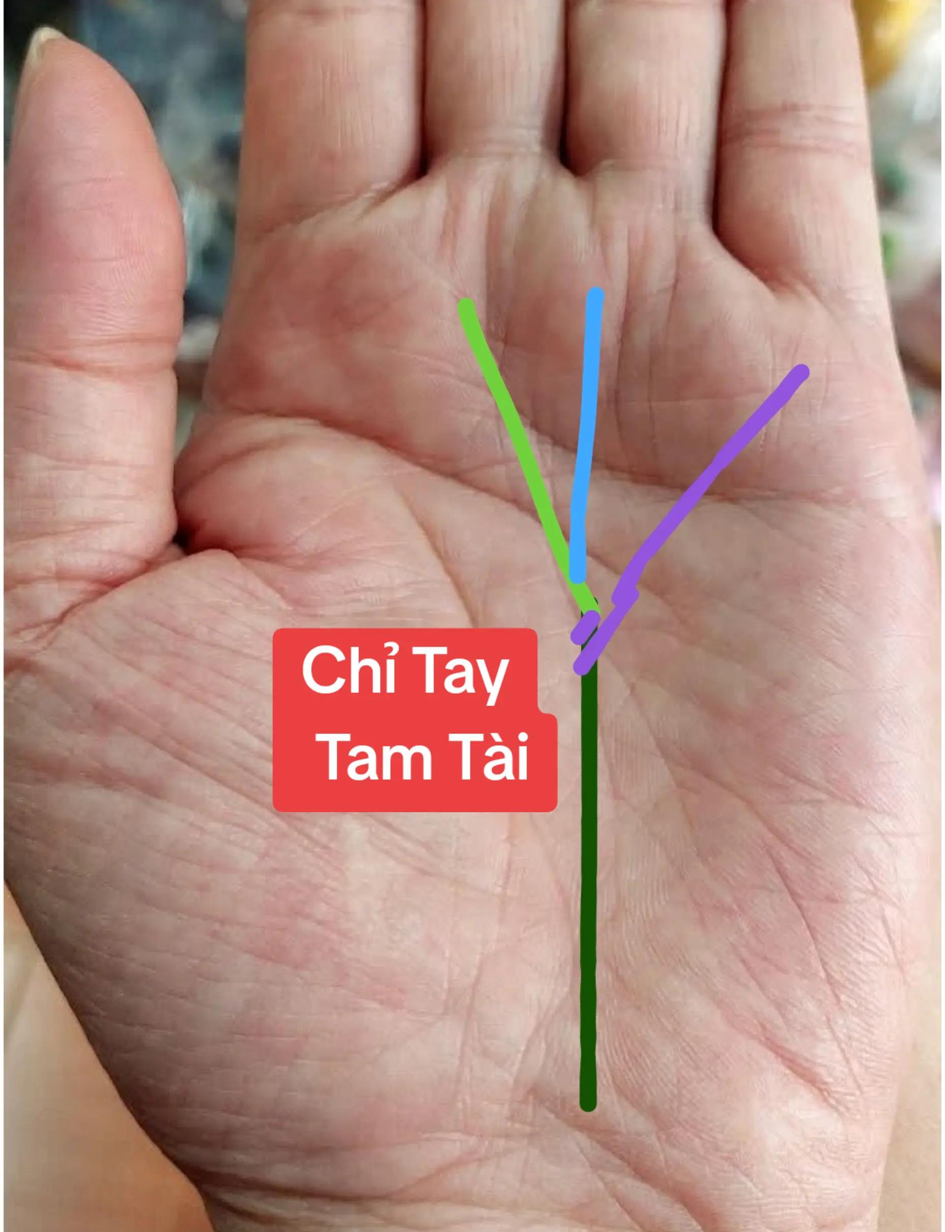 @Nhân Tướng Sửa Mình (Đỗ Lâm)