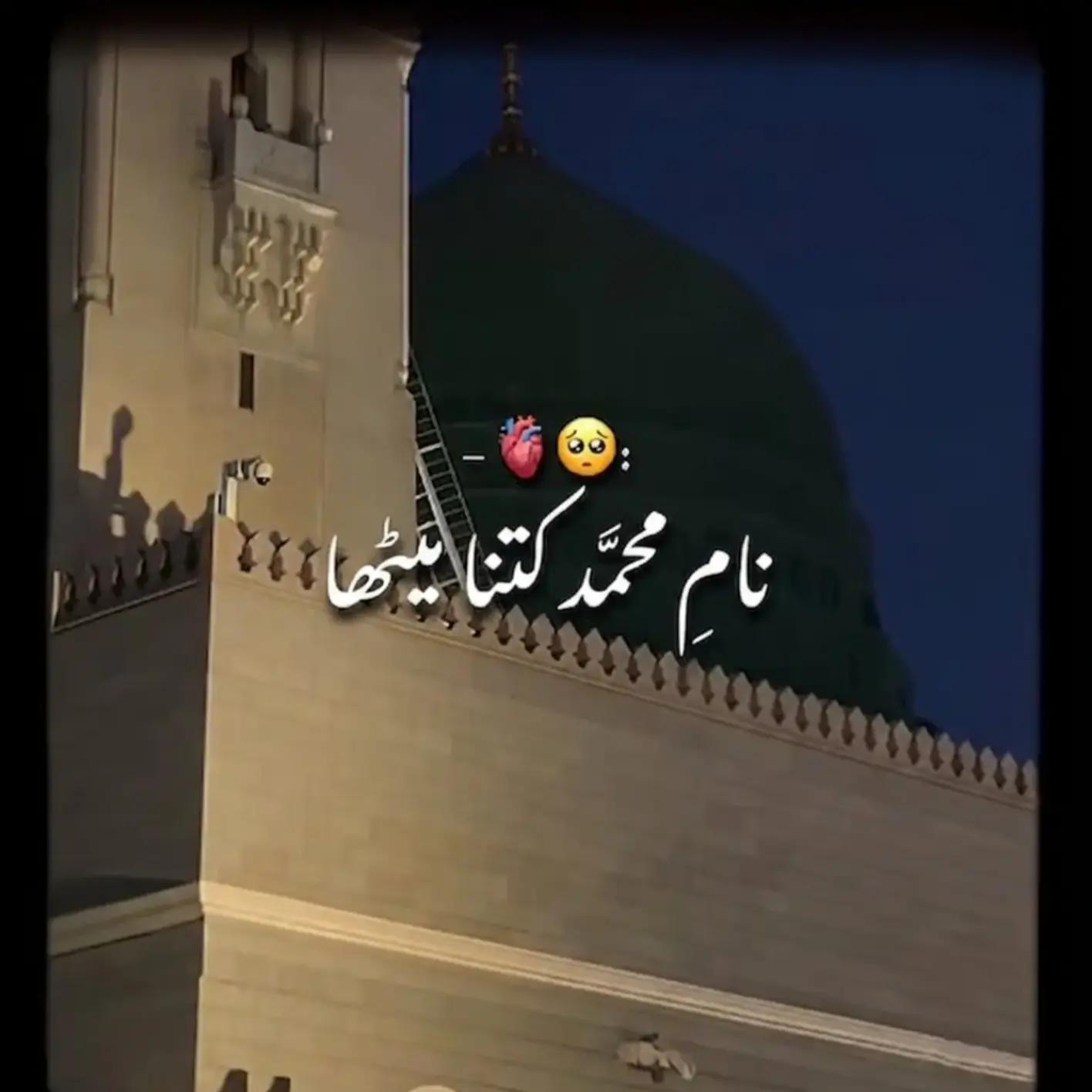 @💕Haider Ali Sargodha 💕❣️