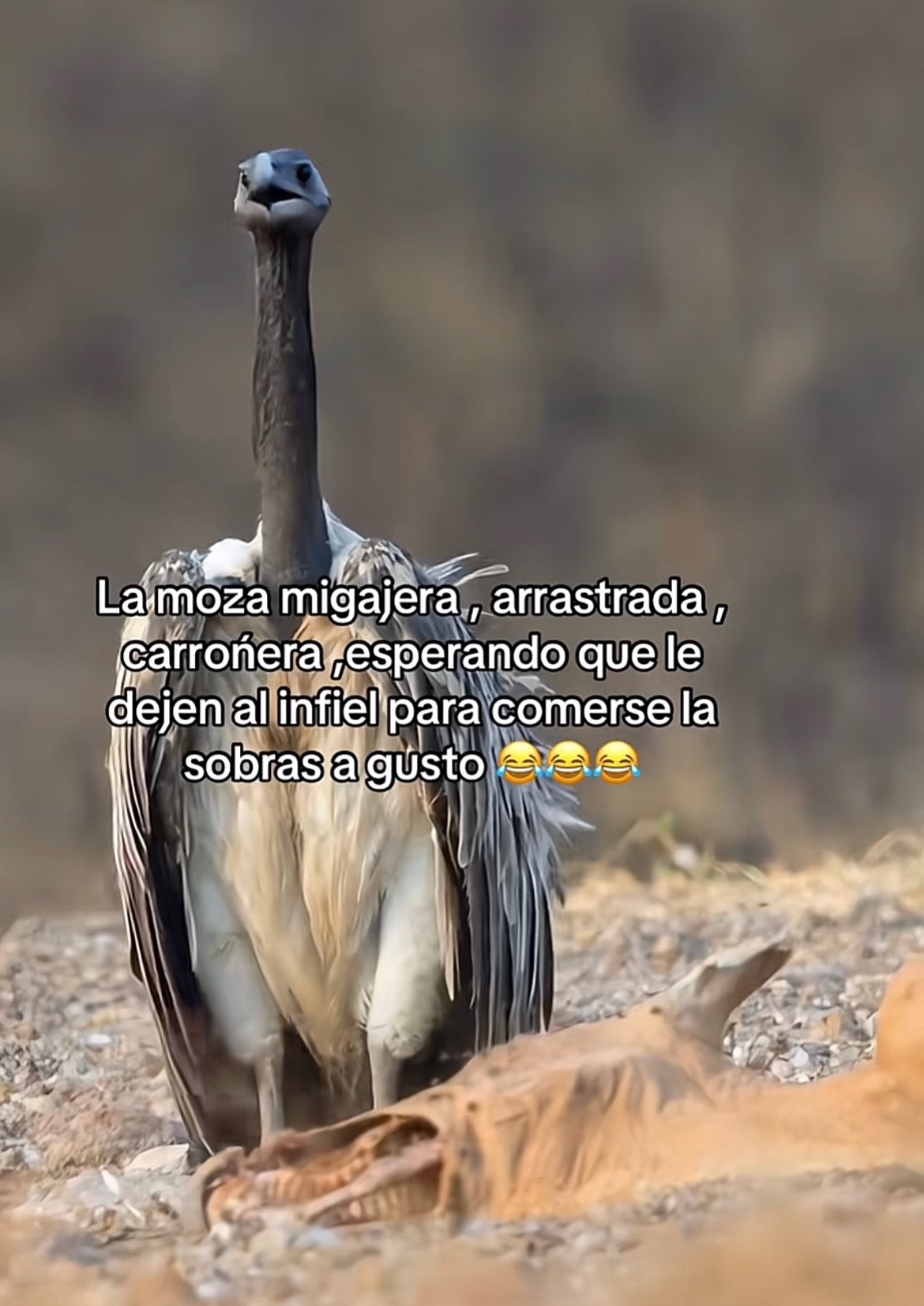 @Diaz Garcia