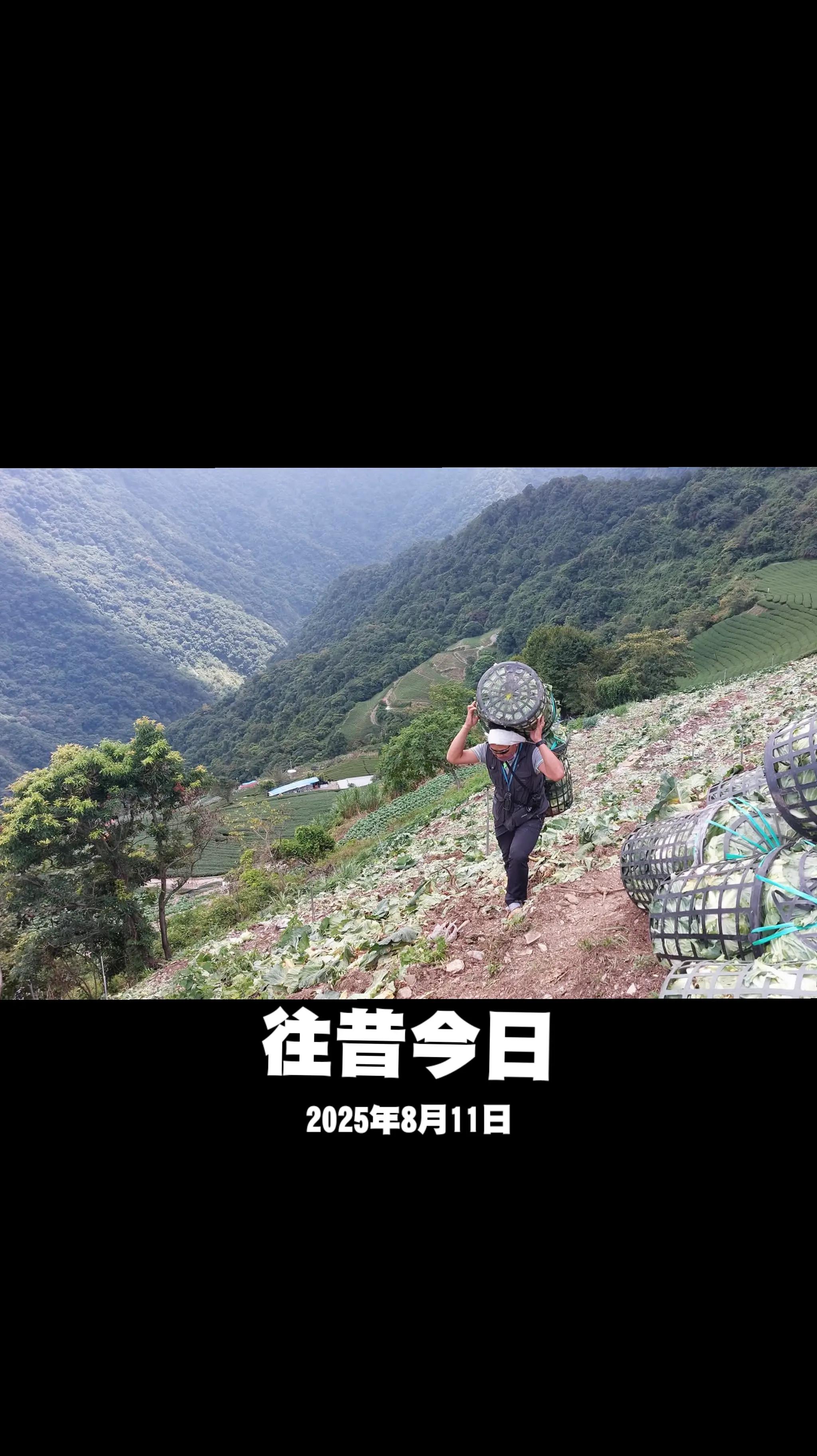 @銘記在心ARP(59-2期)