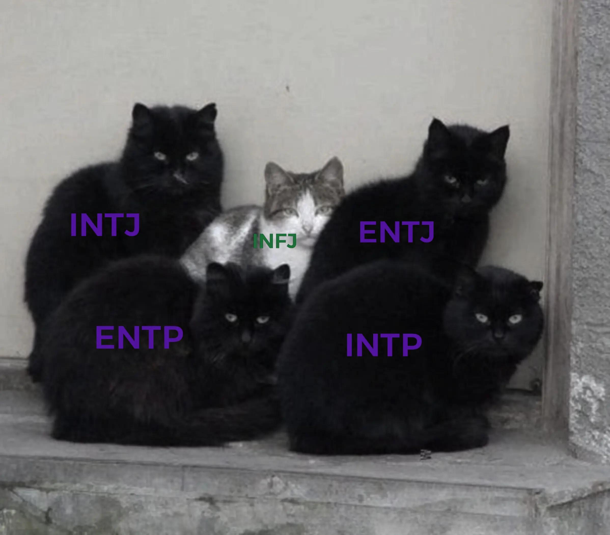 @Home MBTI🥇