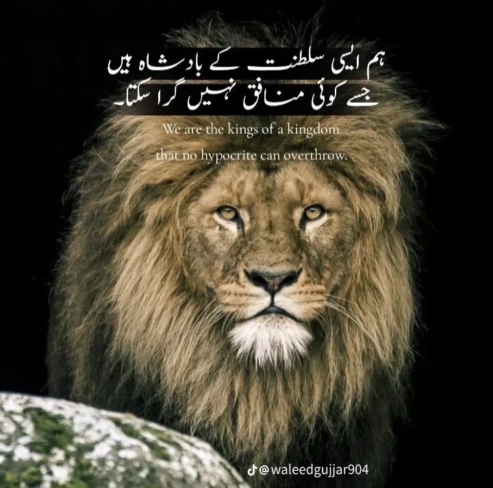@⚜️KAMRAN 711🦂