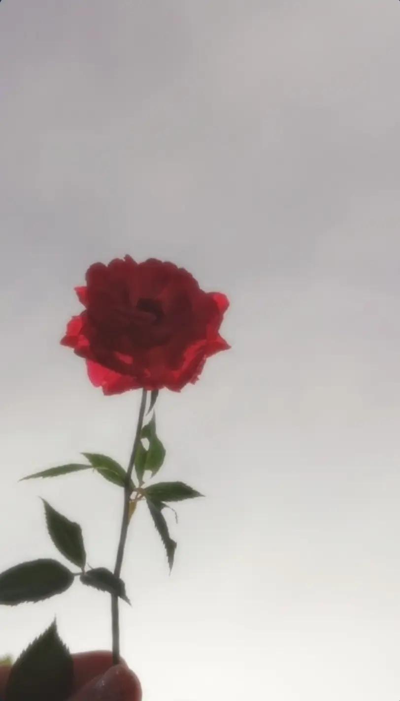 @question123