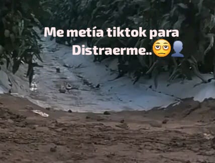 @Jr el menor :(