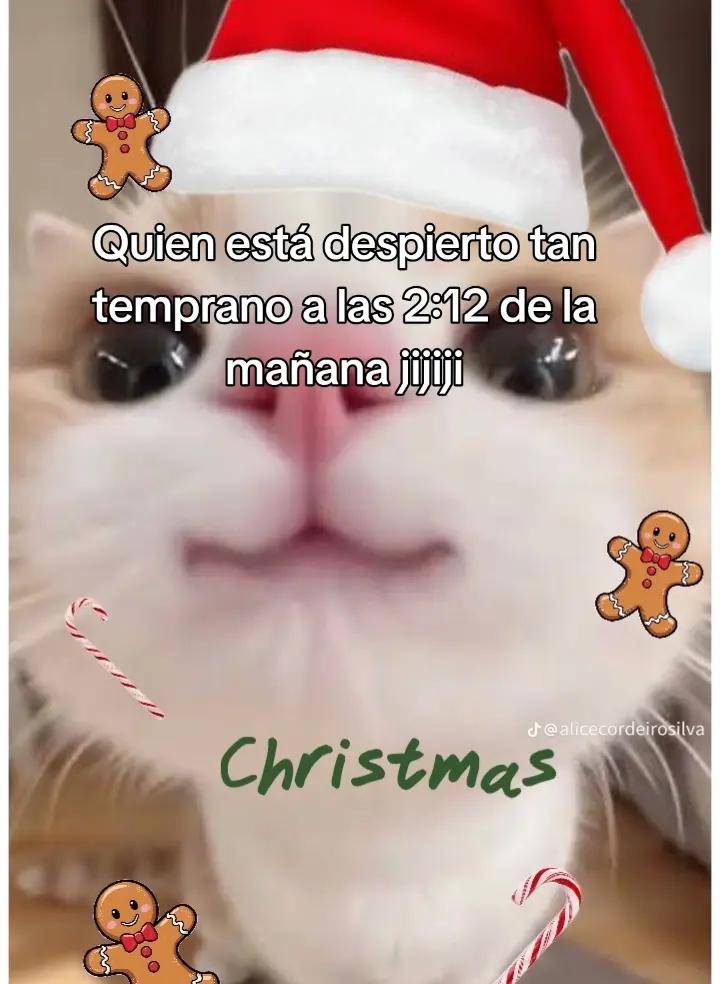 @Mati XD😃
