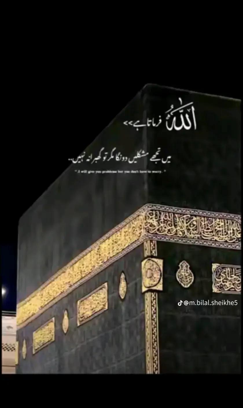 @💫TM. BRAND💫☑️