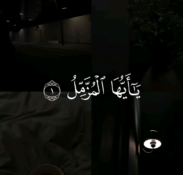 @🌸🌸Sana Riaz 🌸🌸