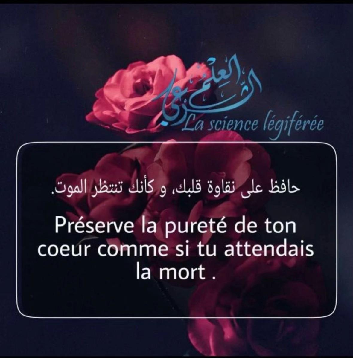 @Le monde est méchant 🏴☠️