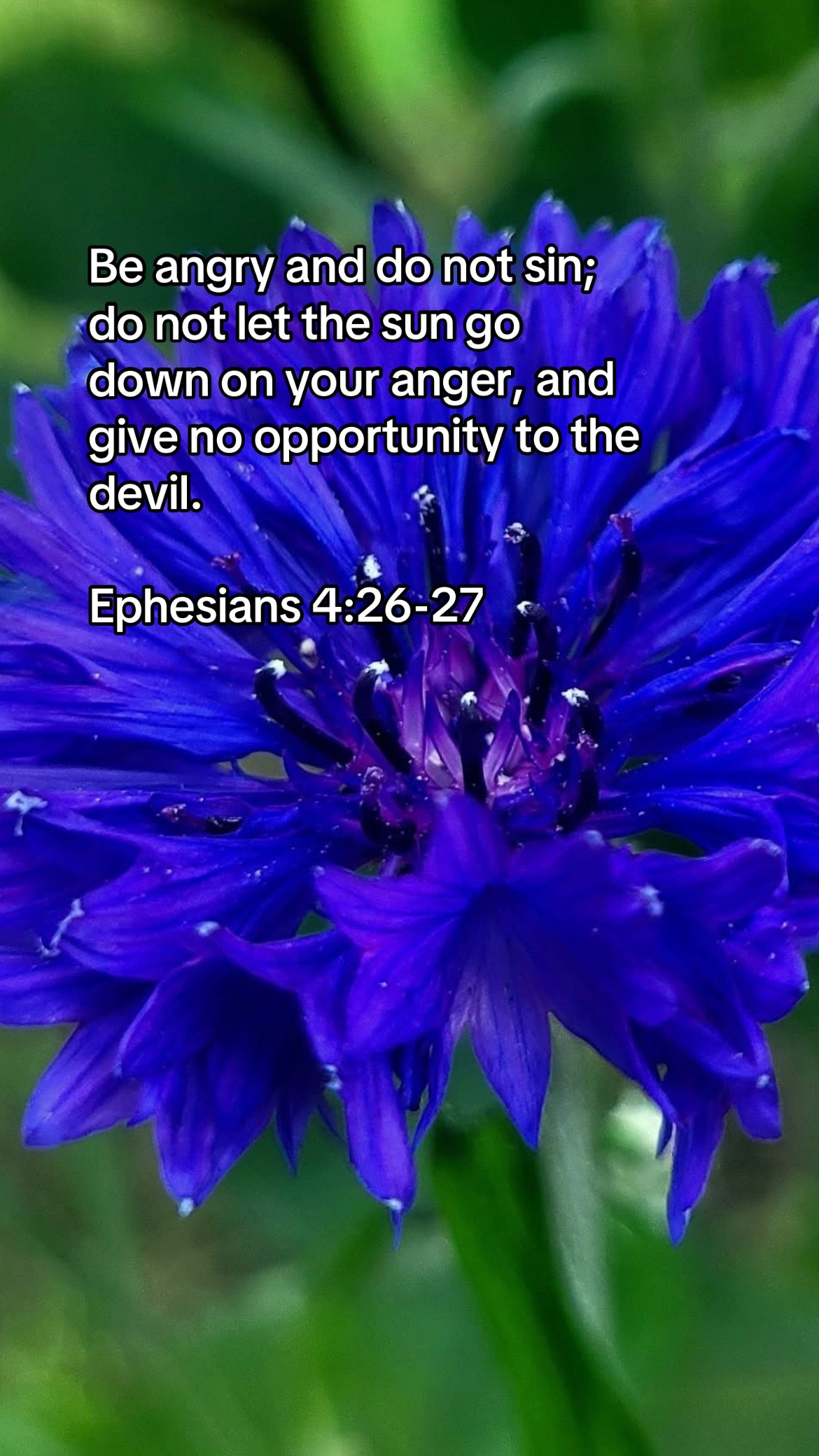 @forgiven_disciple