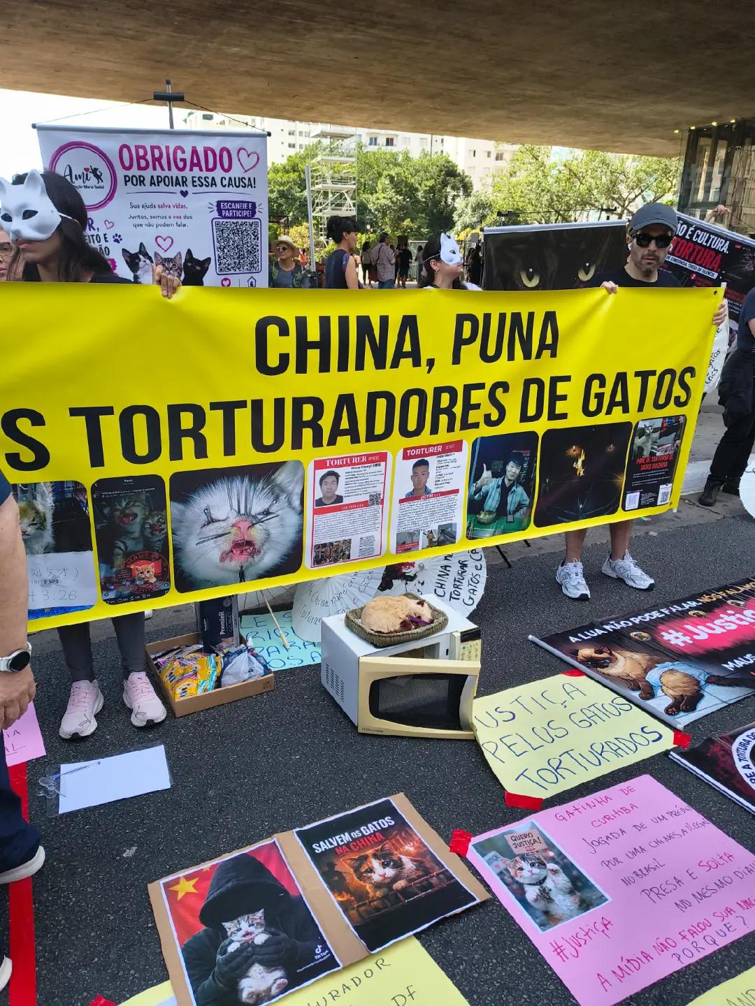 @Resist&ecirc;ncia Felina 🇧🇷