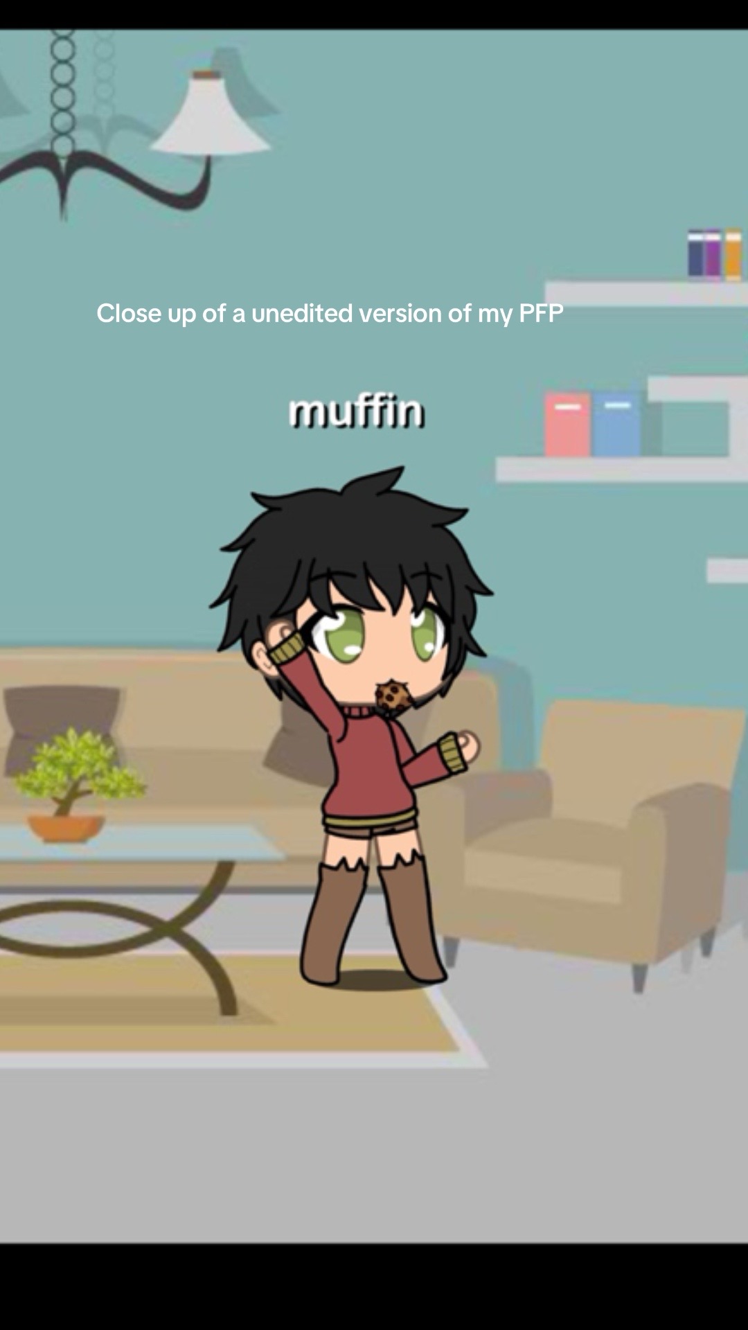 @Muffin the cat