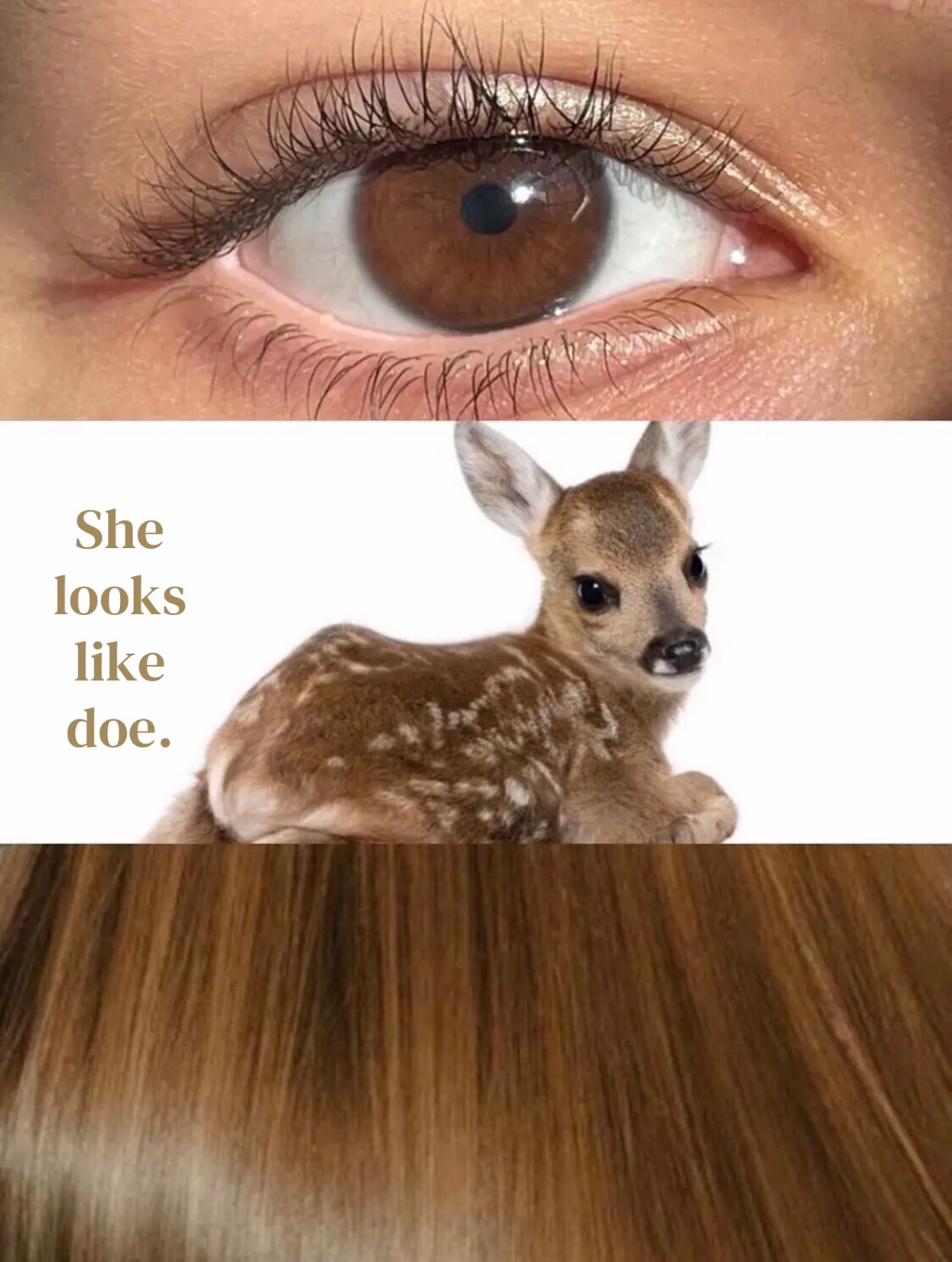 @⋆𐙚⋆