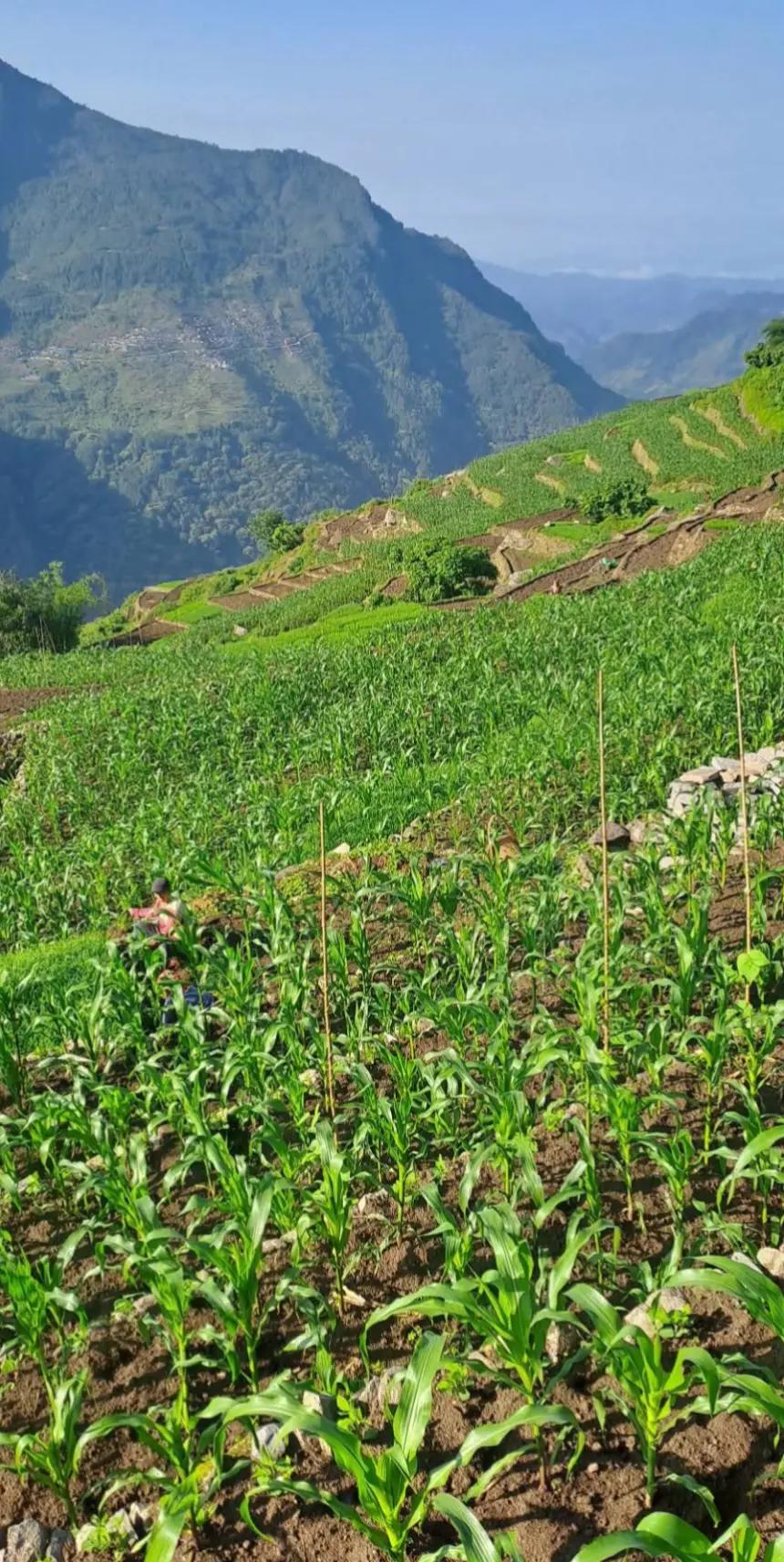 @🇳🇵नेपाली गाउँ बस्ती🌹