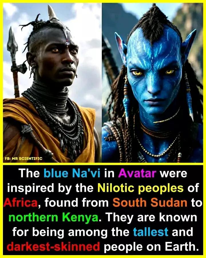 @KING AVATAR FREDOH